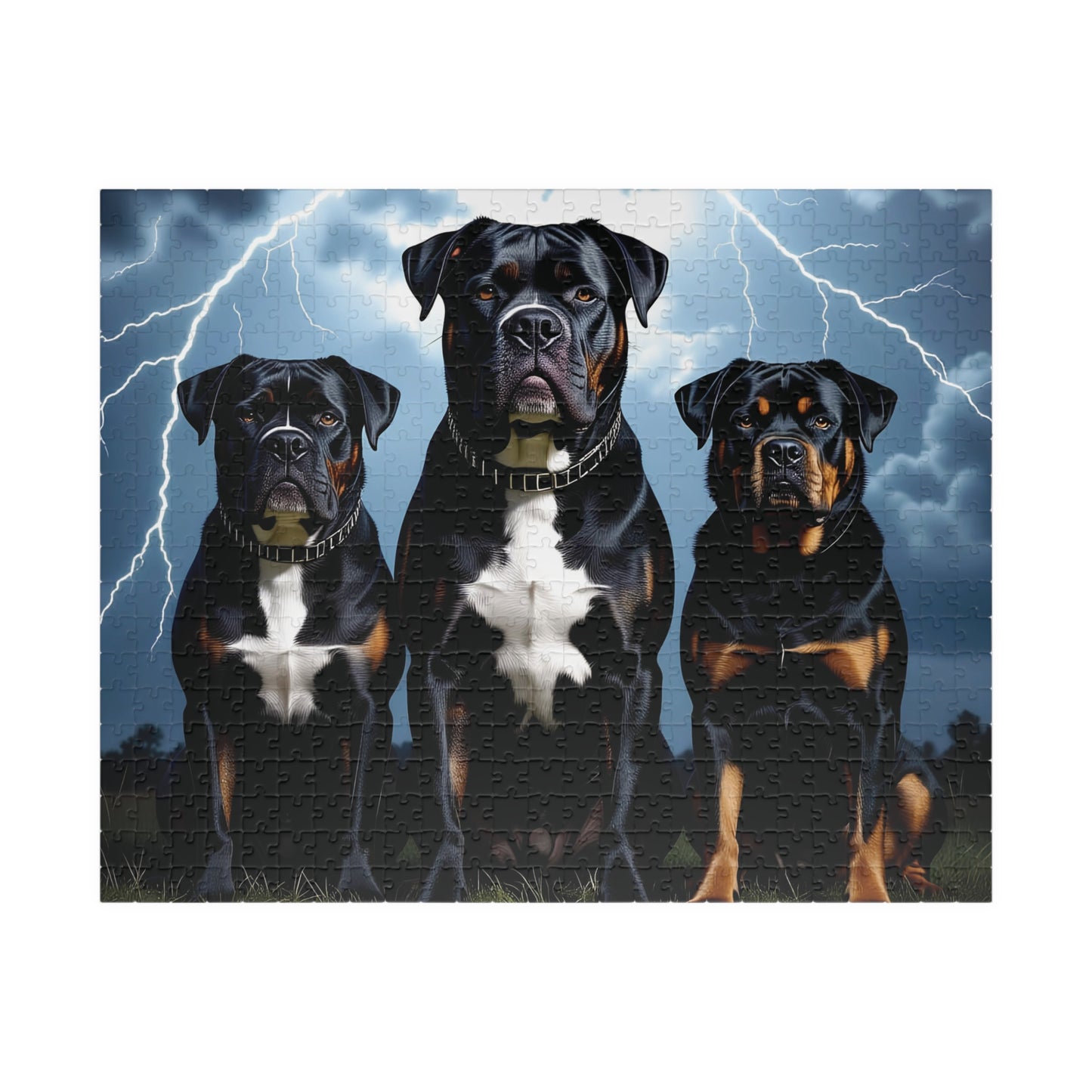 "Guardians from the Storm"