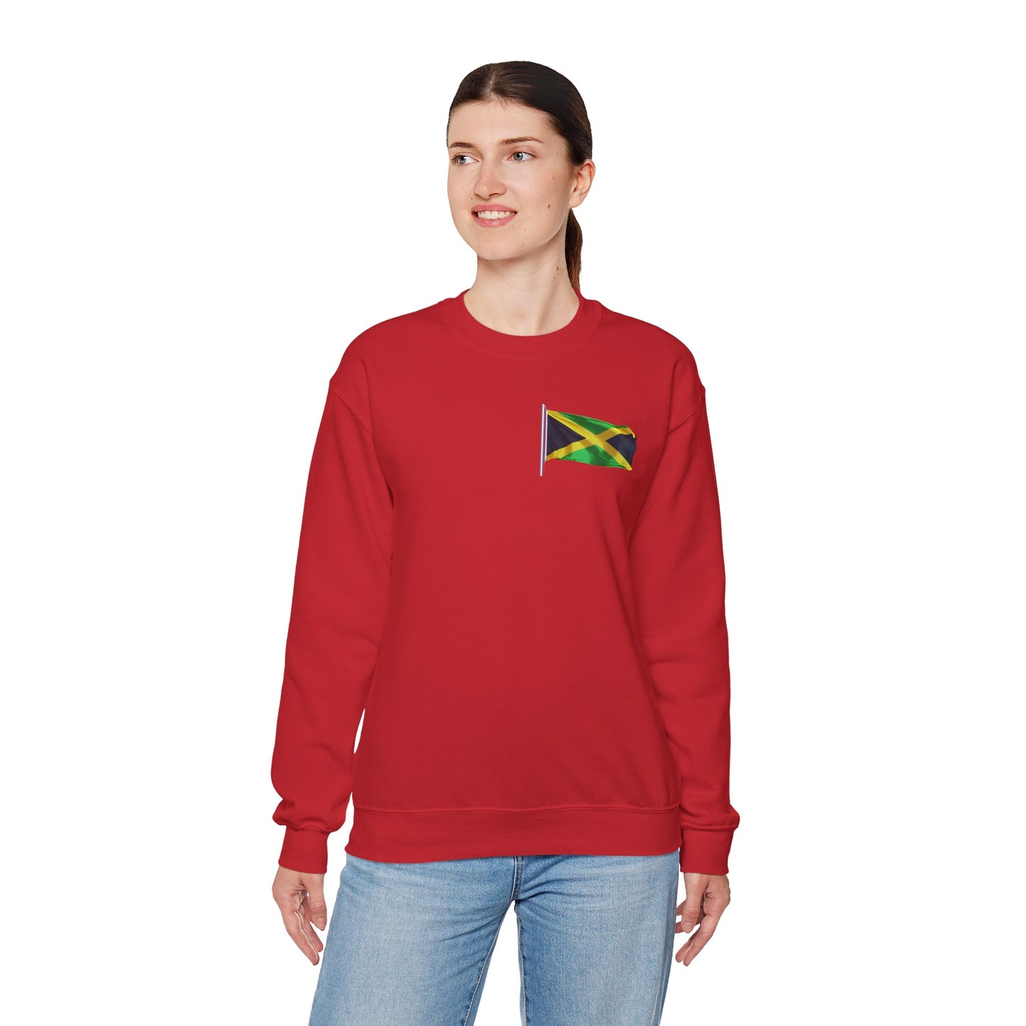 Have Beer, Will Travel Sweatshirt – Red Stripe Edition