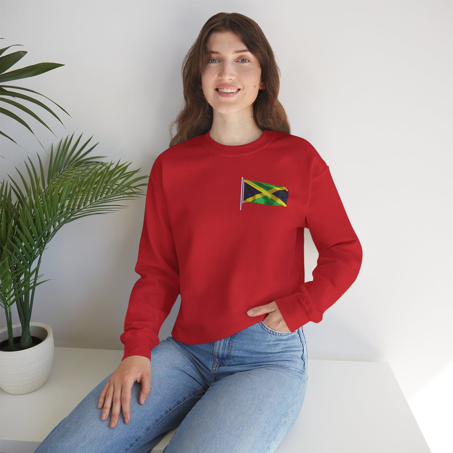 Have Beer, Will Travel Sweatshirt – Red Stripe Edition