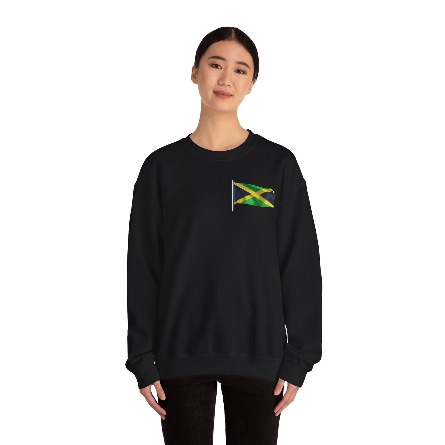 Have Beer, Will Travel Sweatshirt – Red Stripe Edition