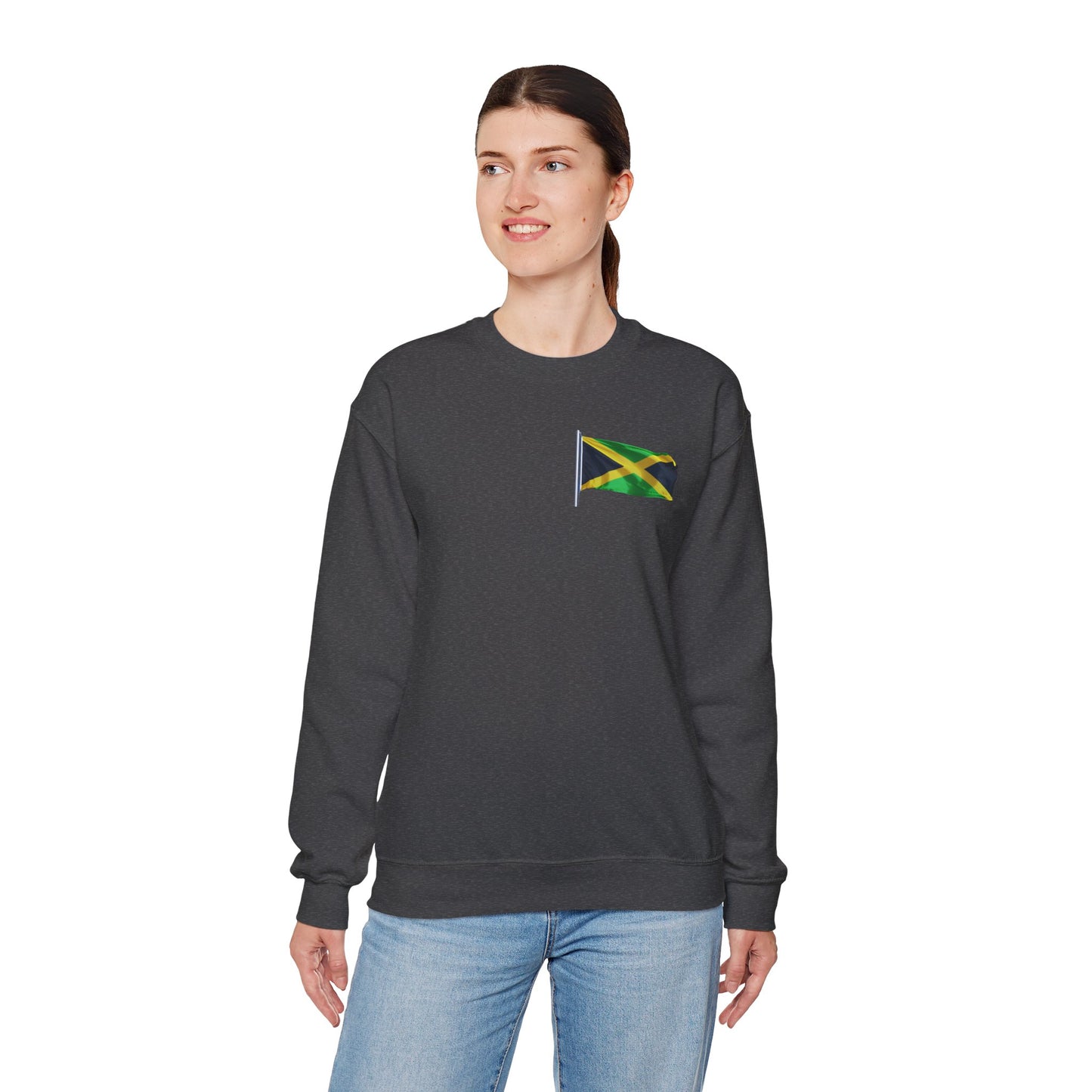 Have Beer, Will Travel Sweatshirt – Red Stripe Edition