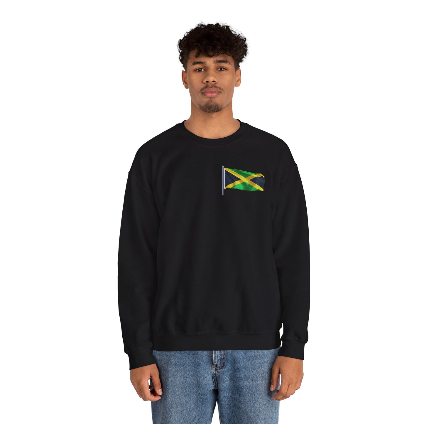 Have Beer, Will Travel Sweatshirt – Red Stripe Edition