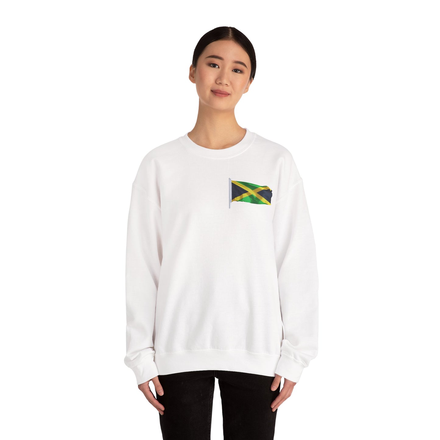 Have Beer, Will Travel Sweatshirt – Red Stripe Edition