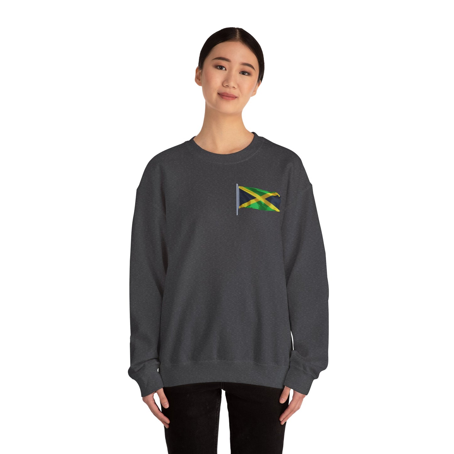 Have Beer, Will Travel Sweatshirt – Red Stripe Edition